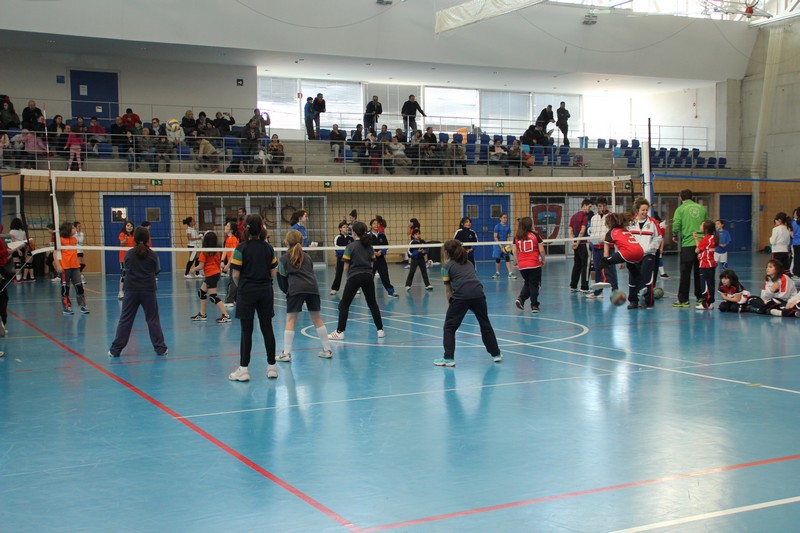 Más de 20 equipos en la Segunda Concentración de "Mini Voley"